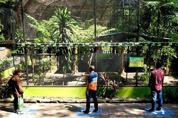 Nih, 5 Tempat Wisata di Surabaya Aman dan Cocok Didatangi